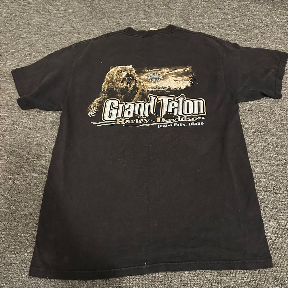 Harley-Davidson Grand Teton T-shirt from Idaho Falls Size Large